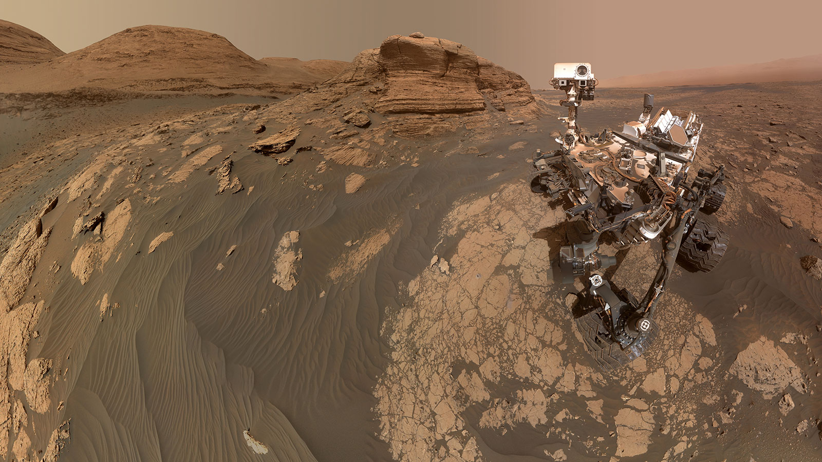 Mars Curiosity Selfie