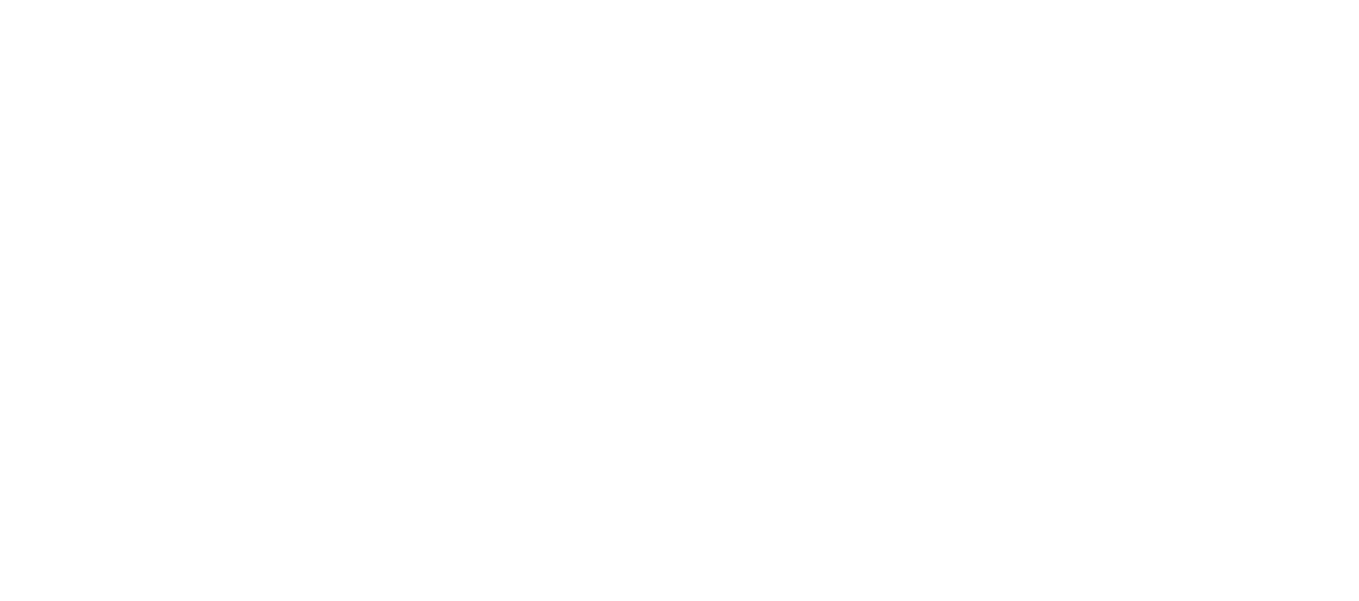 VideoBeast Logo